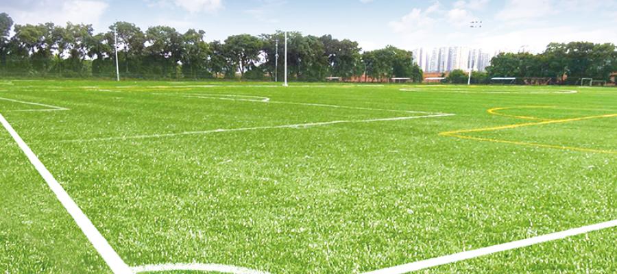 D? án san bóng FIFA 