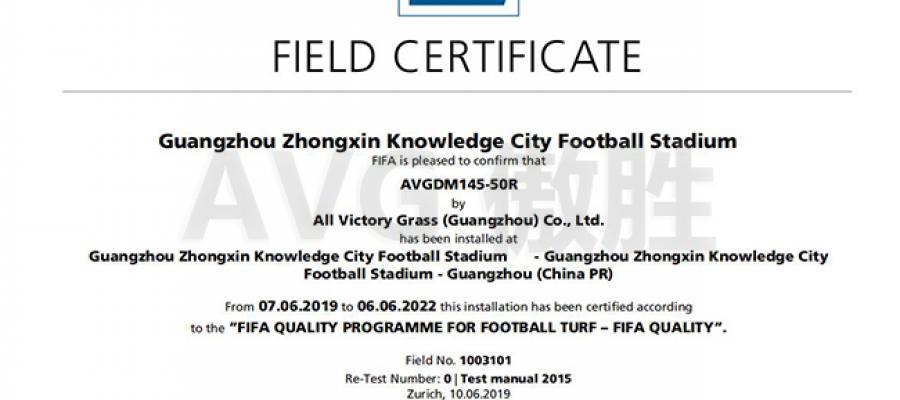 D? án san bóng FIFA Thành ph? Tri th?c Trung Tan Qu?ng Chau (Trung Qu?c)