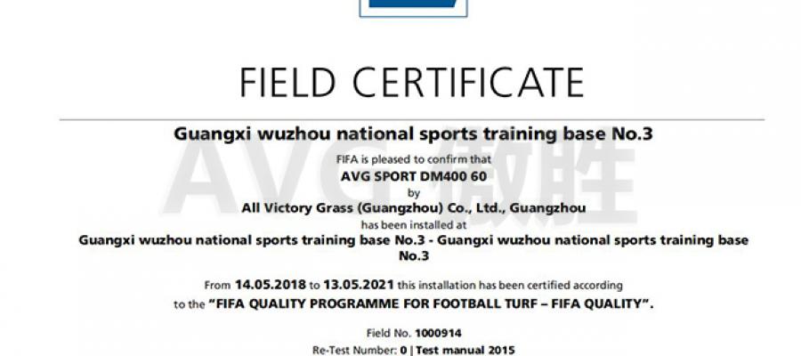 D? án san bóng FIFA 