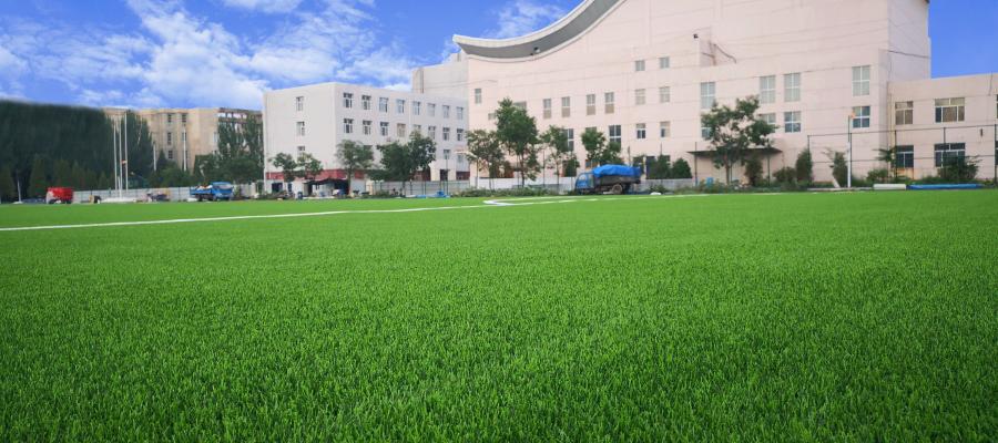 Bao tou Teachers' College, AVG, c? nhan t?o AVG