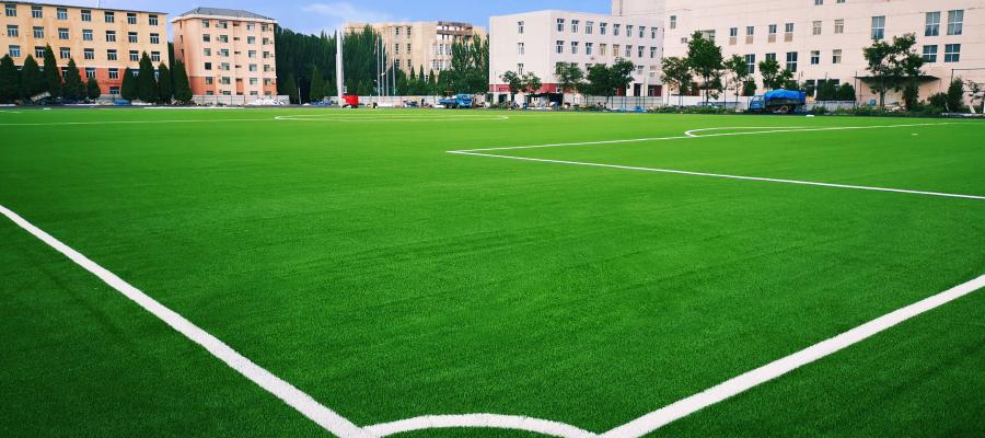 Bao tou Teachers' College, AVG, c? nhan t?o AVG