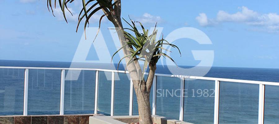 C? trang trí b? b?i(Nam Phi)