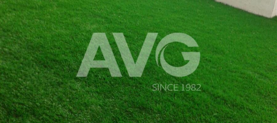 C? trang trí san v??n