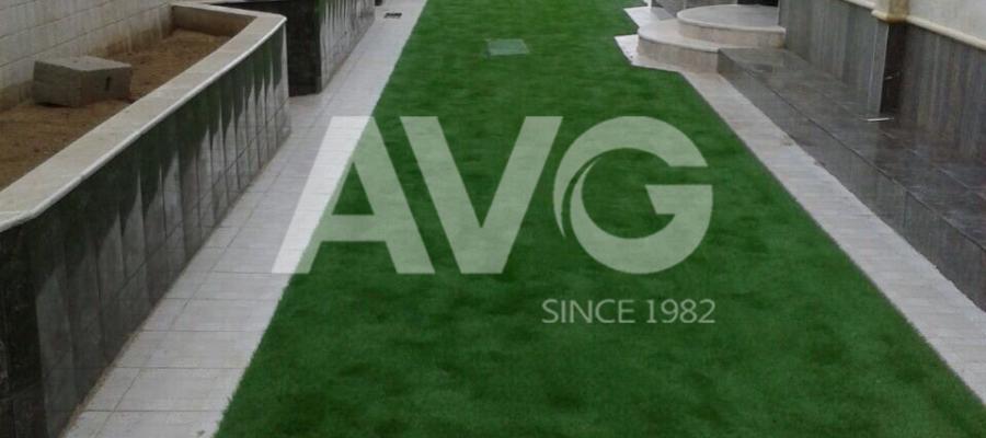 C? trang trí san v??n