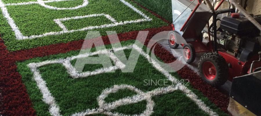 C? trang trí san v??n