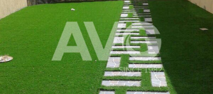 C? trang trí san v??n