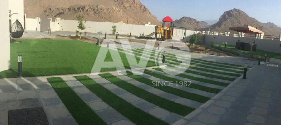 C? trang trí san v??n