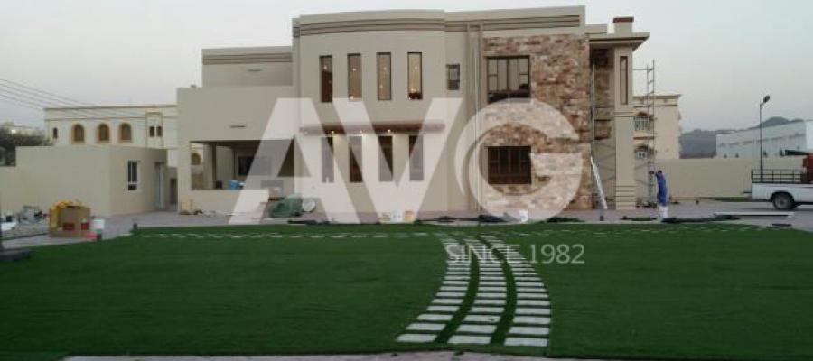 C? trang trí san v??n