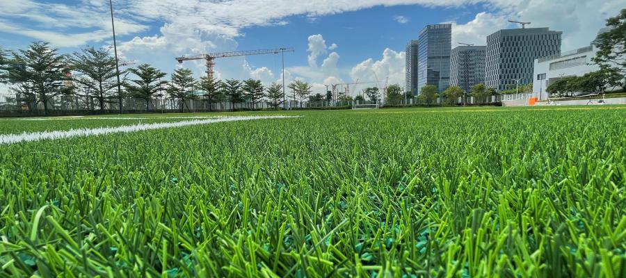 D? án san bóng ??t chu?n FIFA m?i t?i tr??ng Qu?c t?  The Bay Academy 