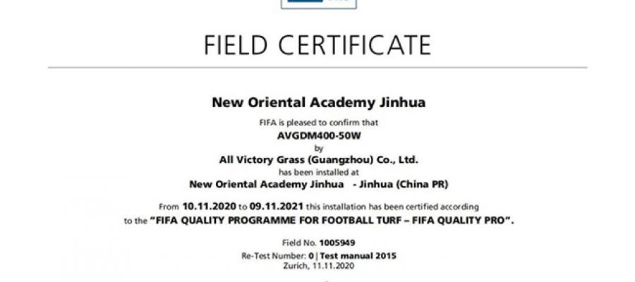 c? nhan t?o AVG, ?? d?t th?m kh?ng tráng keo, AVG DM400