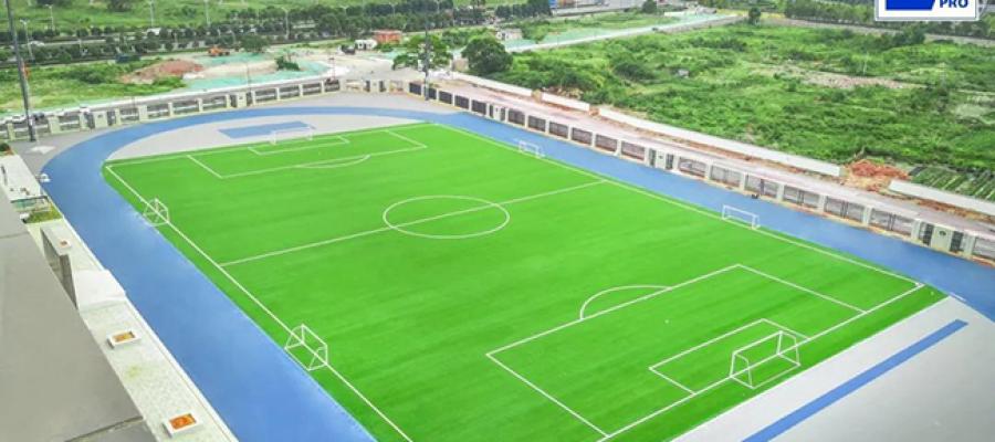 c? nhan t?o AVG, ?? d?t th?m kh?ng tráng keo, AVG DM400