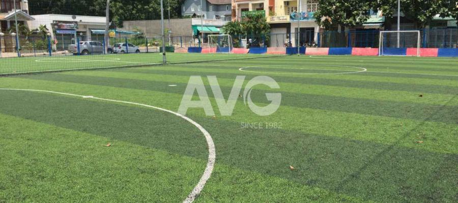 San bóng ?á, c? nhan t?o AVG