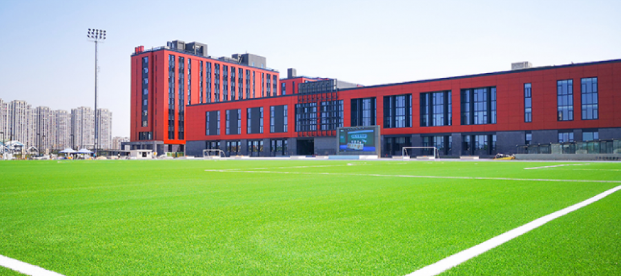 c? nhan t?o AVG, ?? d?t th?m kh?ng tráng keo, AVG DM400