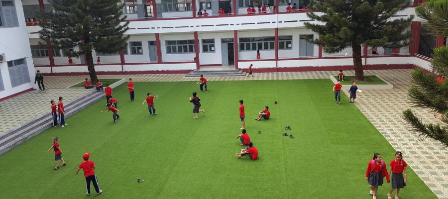 D? án c? san v??n AVG, c? nhan t?o AVG