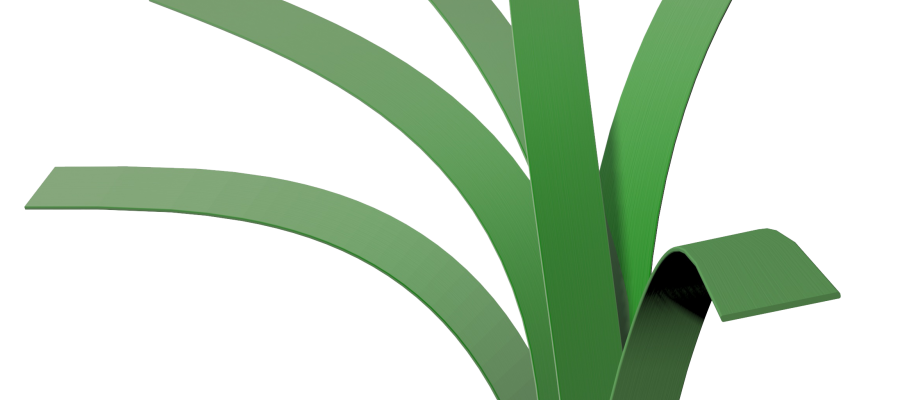 Dòng c? Oasis 88/80B