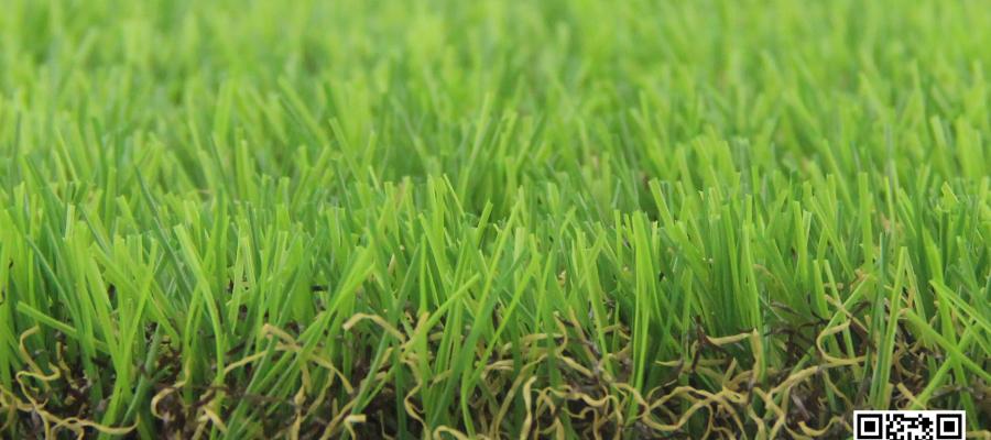 Dòng c? Eden Classic 93