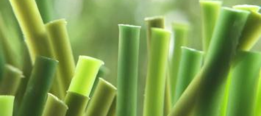 Dòng c? Diamond Trio 180