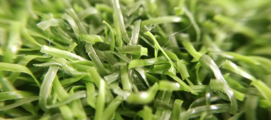 Dòng c? Curly PPE 55B