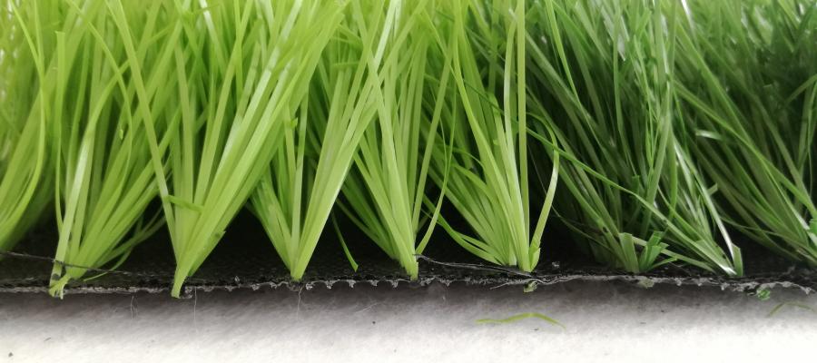 Dòng c? Oasis 88/80B