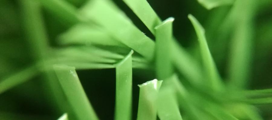 Dòng c? Oasis 88/80B