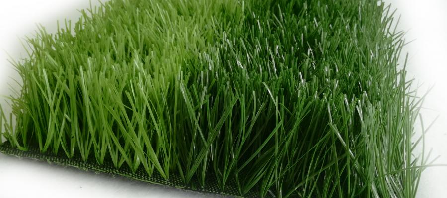 C? kim c??ng AVG 6600