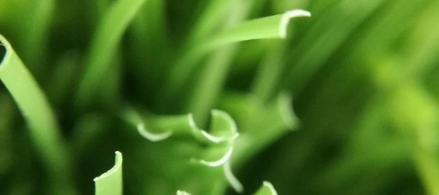 Dòng c? Classic 120