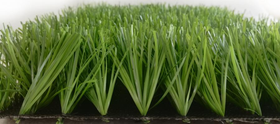 Dòng c? Oasis 88/80B