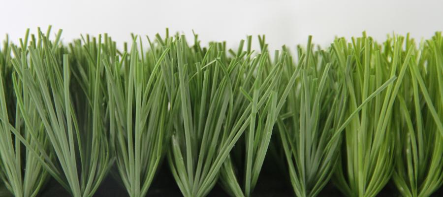 Dòng c? Diamond 100/100B