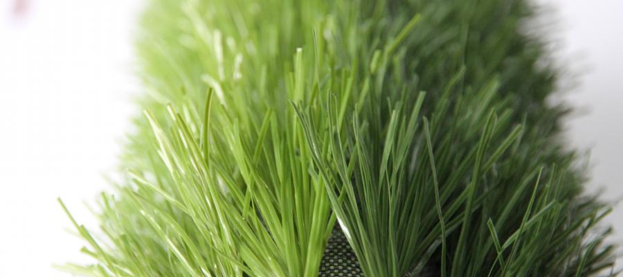 Dòng c? Diamond 100/100B