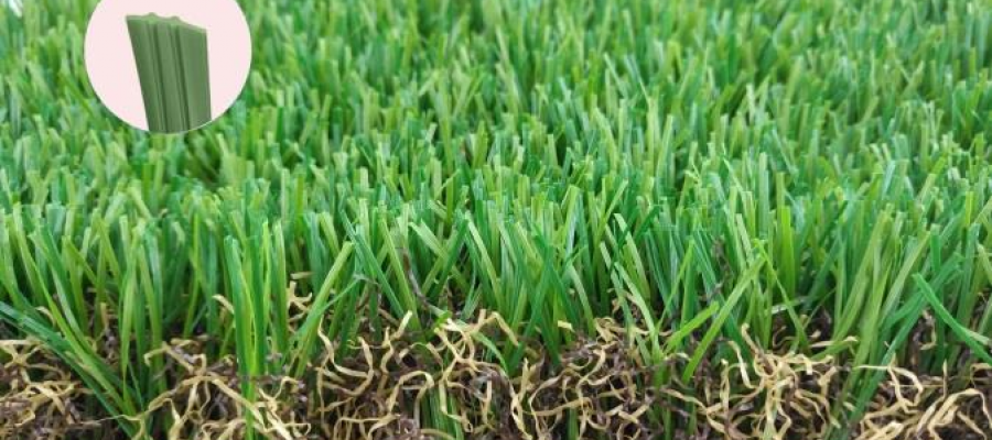 Dòng c? Eden Stem 116