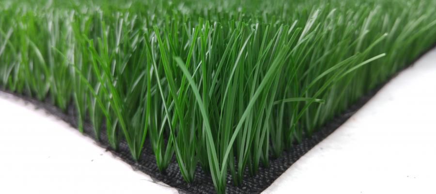 Dòng c? Oasis 88/80B