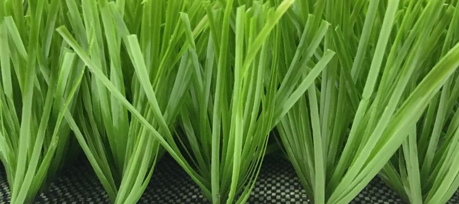 Dòng c? Diamond 130/130B