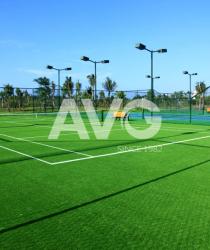 C? nhan t?o tennis