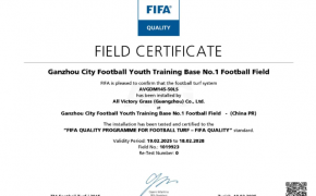 c? nhan t?o AVG, AVG Since 1982