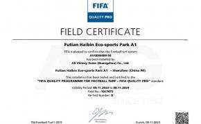 Thêm 3 c?m san bóng m?i c?a AVG giành ???c ch?ng ch? FIFA