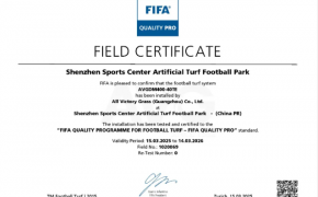 c? nhan t?o AVG, AVG Since 1982