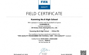 c? nhan t?o AVG, AVG Since 1982