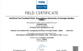 c? nhan t?o AVG, AVG Since 1982