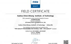 c? nhan t?o AVG, AVG Since 1982