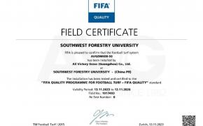 Trong tháng 11 này, AVG có thêm c?m san bóng th? 4 giành ???c ch?ng ch? FIFA