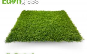 c? nhan t?o AVG, AVG Since 1982