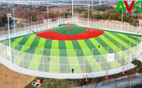 c? nhan t?o AVG, AVG Since 1982