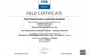 c? nhan t?o AVG, AVG Since 1982