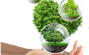 c? nhan t?o AVG, AVG Since 1982