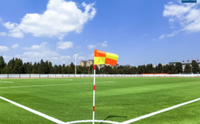 c? nhan t?o AVG, AVG Since 1982