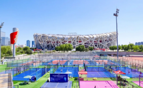 c? nhan t?o AVG, AVG Since 1982