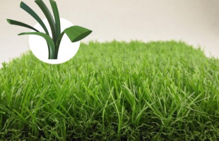 Dòng c? Eden Oasis 90