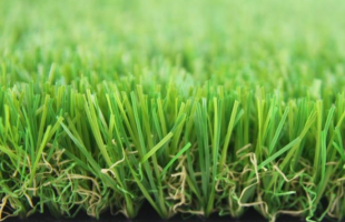 Dòng c? Stem Eco 115