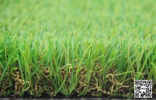 Dòng c? Eden Stem 116