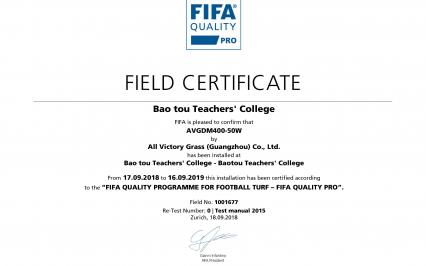 Bao tou Teachers' College, AVG, c? nhan t?o AVG